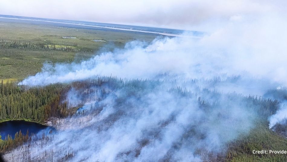 Un avion survole une forêt presque entièrement recouverte de fumée.